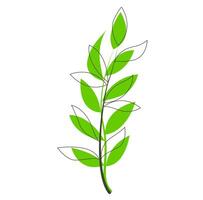 zart und anspruchsvoll Illustration von ein Pflanze Ast mit Blätter vektor