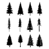 12 Fachmann Kiefer Bäume Silhouette einstellen 2 vektor