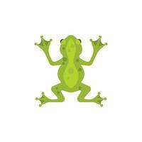 Frosch Logo Vorlage Vektor Illustration