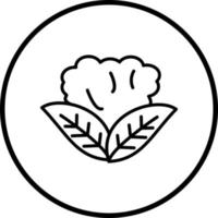 Blumenkohl Vektor Symbol Stil