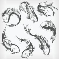 silhuett simning japansk karp, koi fisk, stencil vektorritning vektor