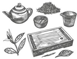 einstellen von Tinte Hand gezeichnet Tee Infuser Illustration. Vektor Hand gezeichnet Illustration. Tee Zeremonie.