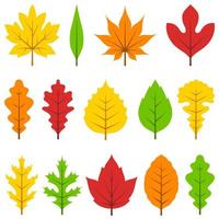 bunt Herbst Blätter Satz, isoliert auf Weiß Hintergrund. vektor