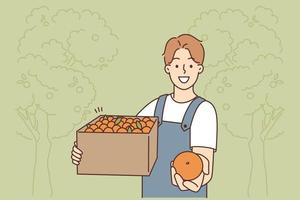 leende manlig jordbrukare med låda av apelsiner samlade in i trädgård. Lycklig man trädgårdsmästare erbjudande färsk frukt. jordbruk och trädgårdsarbete. vektor illustration.