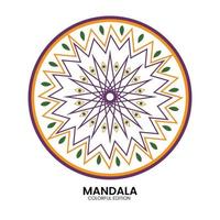 Vektor handgezeichnete Doodle Mandala. ethnisches Mandala mit bunter Stammesverzierung. isoliert. helle Farben.