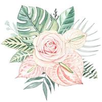 bukett med rosa reste sig, anthurium blommor och tropisk löv. vattenfärg vektor