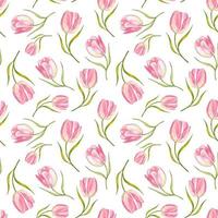 nahtlos Blumen- Muster mit Aquarell Rosa Tulpen vektor