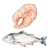 lax akvarell.biff av lax hand tillverkad borsta mat illustration för meny, restauranger. fisk färsk hav mat.hav varelser.mat ingrediens. vektor
