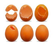 realistisch detailliert 3d Hähnchen Ei gebrochen und ganze Satz. Vektor