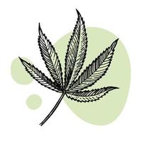 en skön kvist av cannabis. botanisk illustration i de stil av linje konst. växt gravyr. minimalism affisch vektor