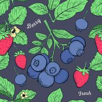 Erdbeeren und Blaubeeren nahtlos Muster auf dunkel Hintergrund. Hand gezeichnet Muster. Obst Illustration. vektor