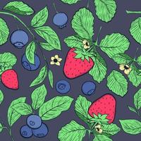jordgubbar och blåbär sömlös mönster på mörk bakgrund. hand dragen mönster. frukt illustration. vektor