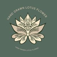 lotus hand dragen illustrationer, vektor