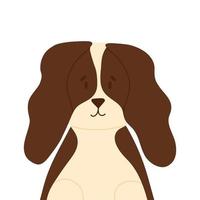 süß Spaniel Hund im eben Stil. Vektor Illustration isoliert auf Weiß Hintergrund. Haustier Hund oder Welpe.