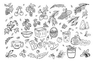 einstellen Beeren Sommer- Gekritzel. Vektor Illustration. Beere, Blätter, Körbe, Smoothie, gesund Lebensmittel.