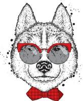 vacker hund med glasögon och slips. vektor