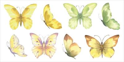 uppsättning av vektor vattenfärg fjärilar, gul och grön Färg, isolera på vit bakgrund