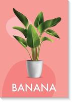 Banane Pflanze zum Innen- vektor