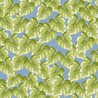 stilisiert tropisch Blätter nahtlos Muster. dekorativ Blatt Hintergrund. vektor