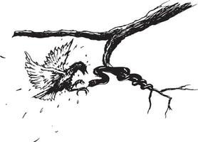 skizzieren von ein Kampf Szene von Adler und Schlange vektor