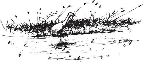 Hand gezeichnet Vektor Natur Illustration mit ein Vogel auf Main Aussicht