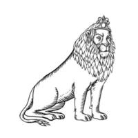 lejon sittande bär tiara, etsning i svart och vitt vektor
