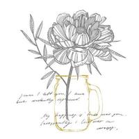 Pfingstrose Blume und Blätter Zeichnung. Hand gezeichnet graviert Blumen- Satz. botanisch Illustrationen. großartig zum Tätowierung, Einladungen, Gruß Karten vektor