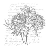 Strauß. Frühling Blumen und Zweige. Pfingstrosen, Hortensie, Rose. Jahrgang botanisch Illustration. schwarz und Weiß einstellen von Zeichnung Kornblumen, Blumen- Elemente, Hand gezeichnet botanisch Illustration. vektor