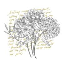 bukett. vår blommor och kvistar. pioner, hortensia, reste sig. årgång botanisk illustration. svart och vit uppsättning av teckning blåklint, blommig element, hand dragen botanisk illustration. vektor