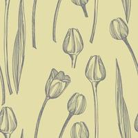 Tulpe Blume Grafik skizzieren Illustration. botanisch Pflanze Illustration. Jahrgang medizinisch Kräuter skizzieren einstellen von Tinte Hand gezeichnet medizinisch Kräuter und Pflanzen skizzieren. nahtlos Muster vektor