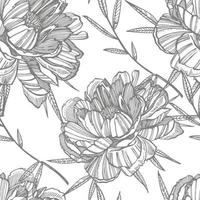 Pfingstrose Blume und Blätter Zeichnung. Hand gezeichnet graviert Blumen- Satz. botanisch Illustrationen. großartig zum Tätowierung, Einladungen, Gruß Karten vektor