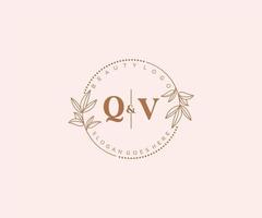 Initiale qv Briefe schön Blumen- feminin editierbar vorgefertigt Monoline Logo geeignet zum Spa Salon Haut Haar Schönheit Boutique und kosmetisch Unternehmen. vektor