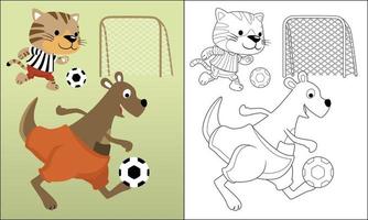 färg bok av rolig katt med känguru spelar fotboll, vektor tecknad serie illustration