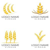 Landwirtschaft Weizen Vektor Icon Design Set