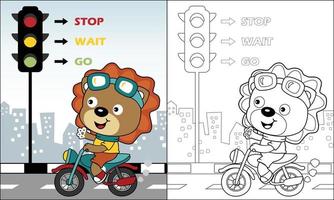 färg bok av lejon tecknad serie ridning motorcykel i stad väg, vektor illustration