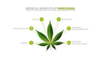 Medizinische Vorteile von Marihuana, weißes Informationsplakat mit Symbolen von Vorteilen und grünen Blättern von Cannabis