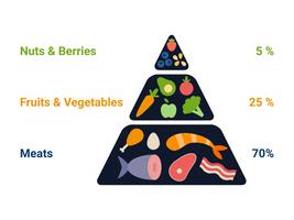 Unika Ketogenic Diet Vectors