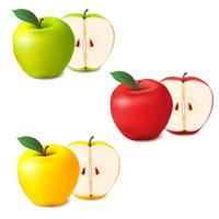 realistische Äpfel Vektorsatz. ganz und in Scheiben geschnitten rot, grün und gelb. vektor