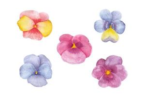 olika typer av orkidéer samling, hand dragen vattenfärg vektor illustration för hälsning kort eller inbjudan design