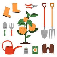 en klocka peppar buske omgiven förbi grundläggande trädgårdsarbete verktyg till hjälp växa paprika. skyffel, frön, vattning burk, handskar, räfsa, plantor, beskärare och Övrig. vektor