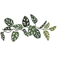 tropisch Liane Affe Monstera. Philodendron, Affe Maske Clip Kunst, Schlingpflanze, Blume, Zuhause Pflanze vektor