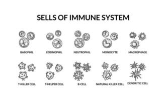 Zellen von adaptiv immun System. Mensch Zellen mit Namen. wissenschaftlich Mikrobiologie Vektor Illustration im skizzieren Stil. Blut zellular Komponenten Formation