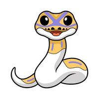 süß Banane gescheckt Ball Python Karikatur vektor