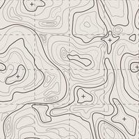 topografisch Karte. geografisch Terrain, Jahrgang alt geologisch Kontur Linien mit Netz. nahtlos Muster Topographie Karte Vektor Hintergrund