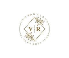 Initiale vr Briefe schön Blumen- feminin editierbar vorgefertigt Monoline Logo geeignet zum Spa Salon Haut Haar Schönheit Boutique und kosmetisch Unternehmen. vektor