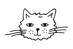 Hand gezeichnet Katze Schnauze Clip Art. süß Haustier Gesicht Gekritzel vektor