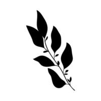 Kräuter und Wald Pflanzen. Zweig mit Blätter, einfach botanisch Zeichnung Silhouette zum Karten und Einladungen vektor