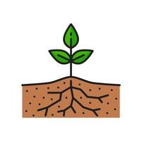 Pflanze im Boden Wachstum Landwirtschaft Farbe Linie Symbol vektor