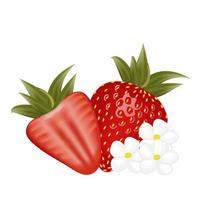 hela jordgubb och skivad halv jordgubb med blommor.för klistermärke och t skjorta design, affischer, logotyper, etiketter, banderoller, klistermärken, produkt förpackning design, etc. vektor illustration