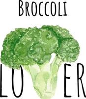 vattenfärg illustration av grön broccoli. färsk rå grönsaker. broccoli älskare illustration vektor